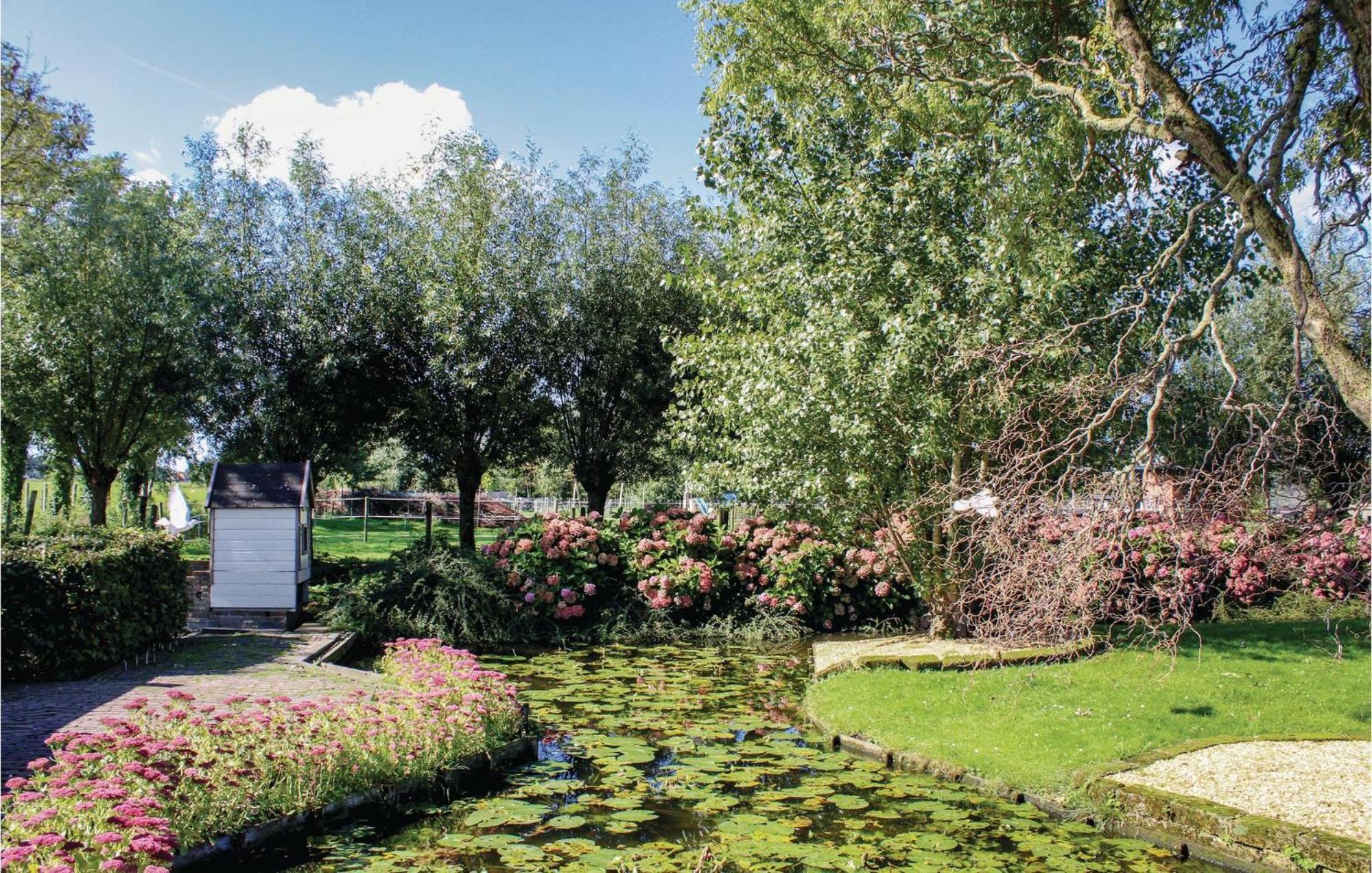 Hoeve Alegria Hoogwoud Exterior foto